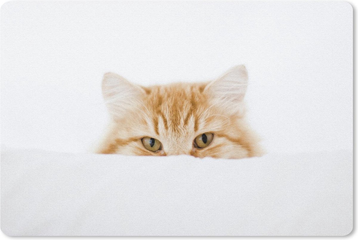 Muismat Katten - Portret van rode kat muismat rubber - 60x40 cm - Muismat met foto