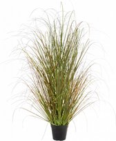 Gras h123cm rood/groen