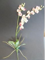 kunstbloem orchidee phalaenopsis wit