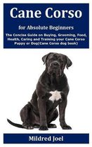 Cane Corso for Absolute Beginners