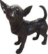 Beeld gedetailleerde Chihuahua zwart