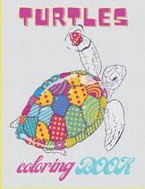 Turtels coloring book