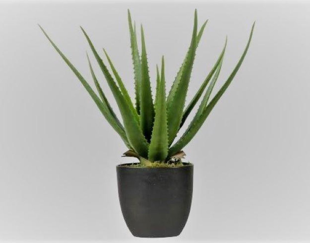 Decoris- Kunstplant- Agave- 33 cm