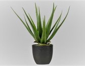 Decoris- Kunstplant- Agave- 33 cm