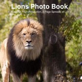 Lions Photo Book