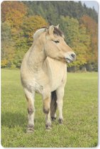 Muismat De fjord - Fjord paard in een herfstlandschap muismat rubber - 18x27 cm - Muismat met foto