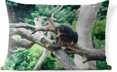 Buitenkussens - Tuin - Jonge chimpansee in de jungle - 50x30 cm