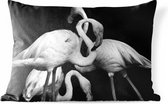 Buitenkussens - Tuin - Flamingo's in zwart-wit - 60x40 cm