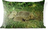 Buitenkussens - Tuin - Egel met drie baby egels - 60x40 cm