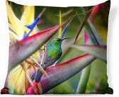 Buitenkussens - Tuin - Kleurrijke vogel tussen allemaal kleurrijke platen - 40x40 cm