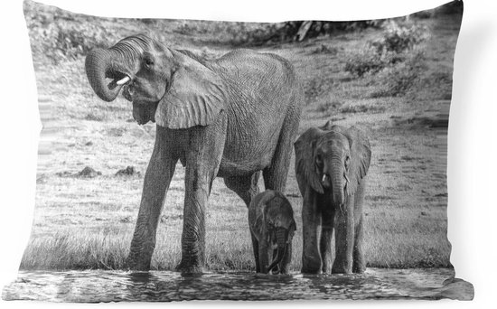 Buitenkussens - Tuin - Familie olifanten aan het water in zwart-wit - 50x30 cm