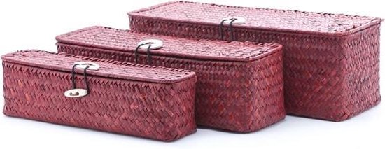 QBrick ORGQXL2LBCCZEPG001 System ONE ORGANIZER XL 2.0 ROOD ULTRA HD CUSTOM