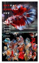 Betta Fish as Pet