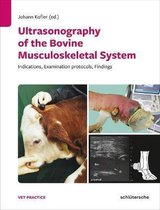 Ultrasonography of the Bovine Musculoskeletal System: Indications, Examination Protocols, Findings