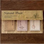 Memoblok | Natural plant - Welcome to the world of natural plants | 3 types