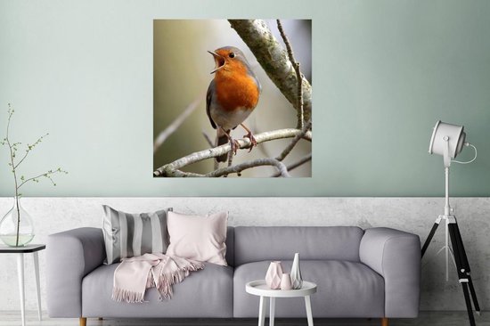 Affiche Robin sur une branche d'arbre 100x100 cm - Tirage photo sur Poster (décoration murale salon / chambre)