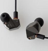 Final B2 In Ear Oordopjes incl. Opbergcase - Hifi Kwaliteit