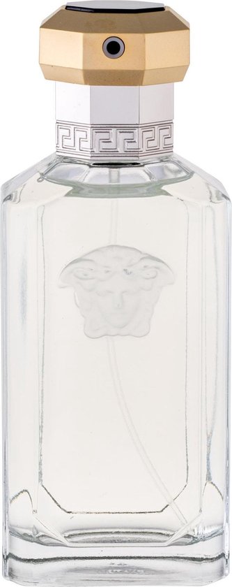 versace dreamer 100 ml