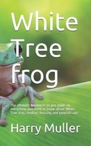 White Tree frog