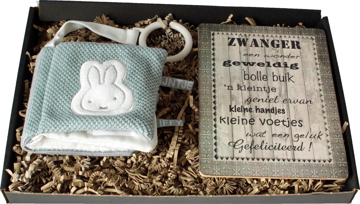 Goedkoopste Brievenbuscadeau zwangerschap, buggyboekje nijntje tiamo green, tekstbord zwanger