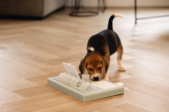 Beeztees Puppy Training Game Riff - Jouet pour chien - Vert - 35x21.5x7