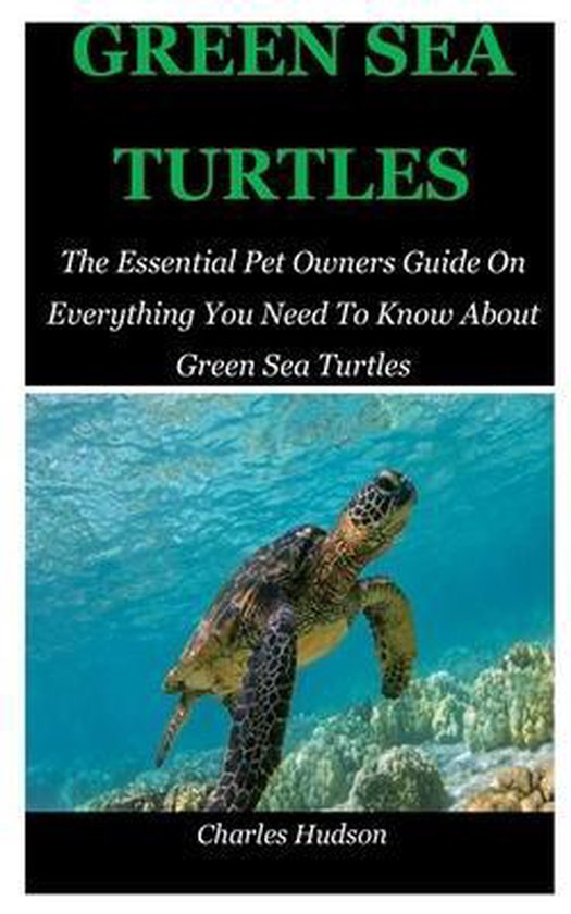 Green Sea Turtles The Essential Pet Owners Guide On Everything You