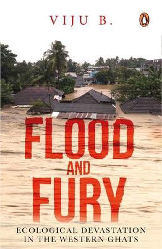 Viju B. - Flood and Fury
