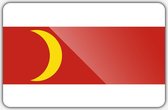 Vlag gemeente Doesburg - 150 x 225 cm - Polyester