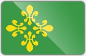 Vlag gemeente Midden-Drenthe - 70 x 100 cm - Polyester