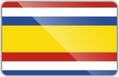 Vlag gemeente Tholen - 70 x 100 cm - Polyester