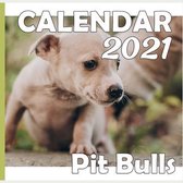 Pit Bulls: Calendar 2021 Cute Gift Idea For Yorkie Lovers Or Owners Men And Women