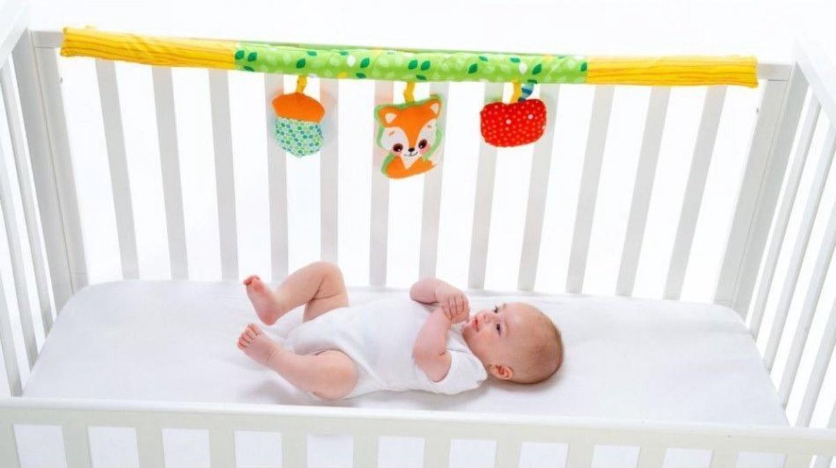 Chicco 3 in 1 Speelkleed Met Babygym