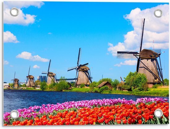 Tuinposter – Nederlandse Molens met Tulpen - 40x30cm Foto op Tuinposter  (wanddecoratie voor buiten en binnen)