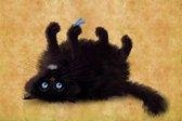 Poster Black Cat_No2 50x70 cm