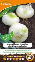 Protecta Groente zaden: Ajuin Witte van Rebouillon | Lente-ui