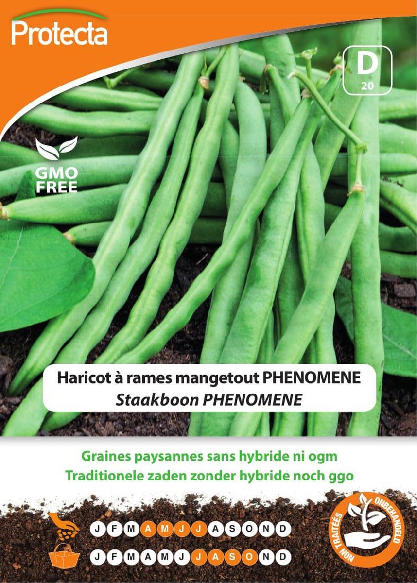 Protecta Groente zaden: Staakboon PHENOMENE