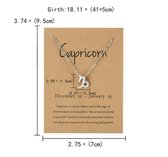 Akyol - Steenbok ketting - Sterrenbeeld hanger - Zilverkleurig - Capricorn