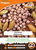 Protecta Groente zaden: Hoge sluimerwt Reuzensuiker CAROUBY