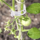 Plant clips 25 stuks voor ondersteuning tomaten, rozen, aubergines, courgettes, sierplanten etc.