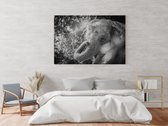 Fotoschilderij van een olifant die gooit met zand op geborsteld aluminium 120cmX80cm (wanddecoratie)