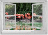 SCHUTTINGPOSTER Poster - Openslaand Venster-flamingos - 65 X 90 Cm - Multicolor