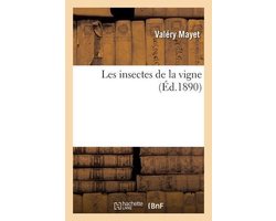 Les insectes de la vigne