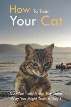 How To Train Your Cat: Can You Train A Cat The Same Way You Might Train A Dog?