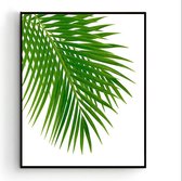 Poster Palmboom blad links - Tropisch Blad - Planten Poster - Muurdecoratie - 70x50cm - PosterCity