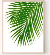 Poster Palmboom blad Rechts - Tropisch Blad - Planten Poster - Muurdecoratie - 50x40cm - PosterCity