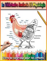 Le Veterinaire Anatomie Et Physiologie Livre De Coloriage Pour Les Enfants