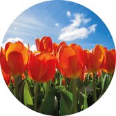 Muurcirkel Tulpen in Amsterdam 60 cm - rond schilderij - wandcirkel