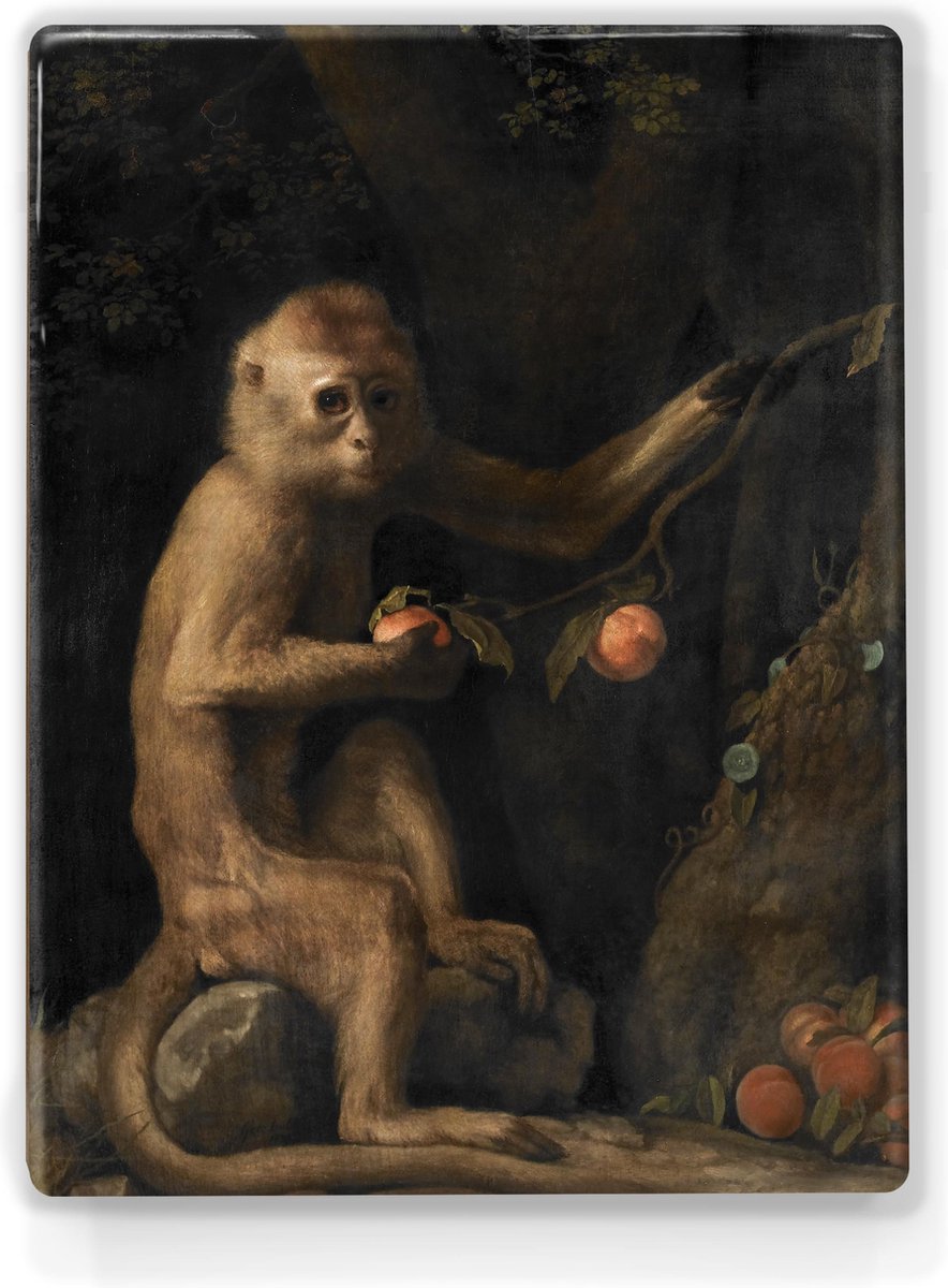 Aapje - George Stubbs - 19,5 x 26 cm - Niet van echt te onderscheiden schilderijtje op hout - Mooier dan een print op canvas - Laqueprint.