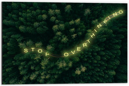 Dibond - ''Stop Overthinkinh'' over Bomen van Bos - 60x40cm Foto op Aluminium (Met Ophangsysteem)