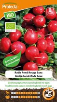 Protecta Groente zaden: Radijs Ronde Rode Saxa 2 Biologisch